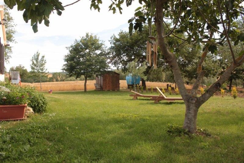 Agriturismo Da Remo Magliano in Toscana Buitenkant foto