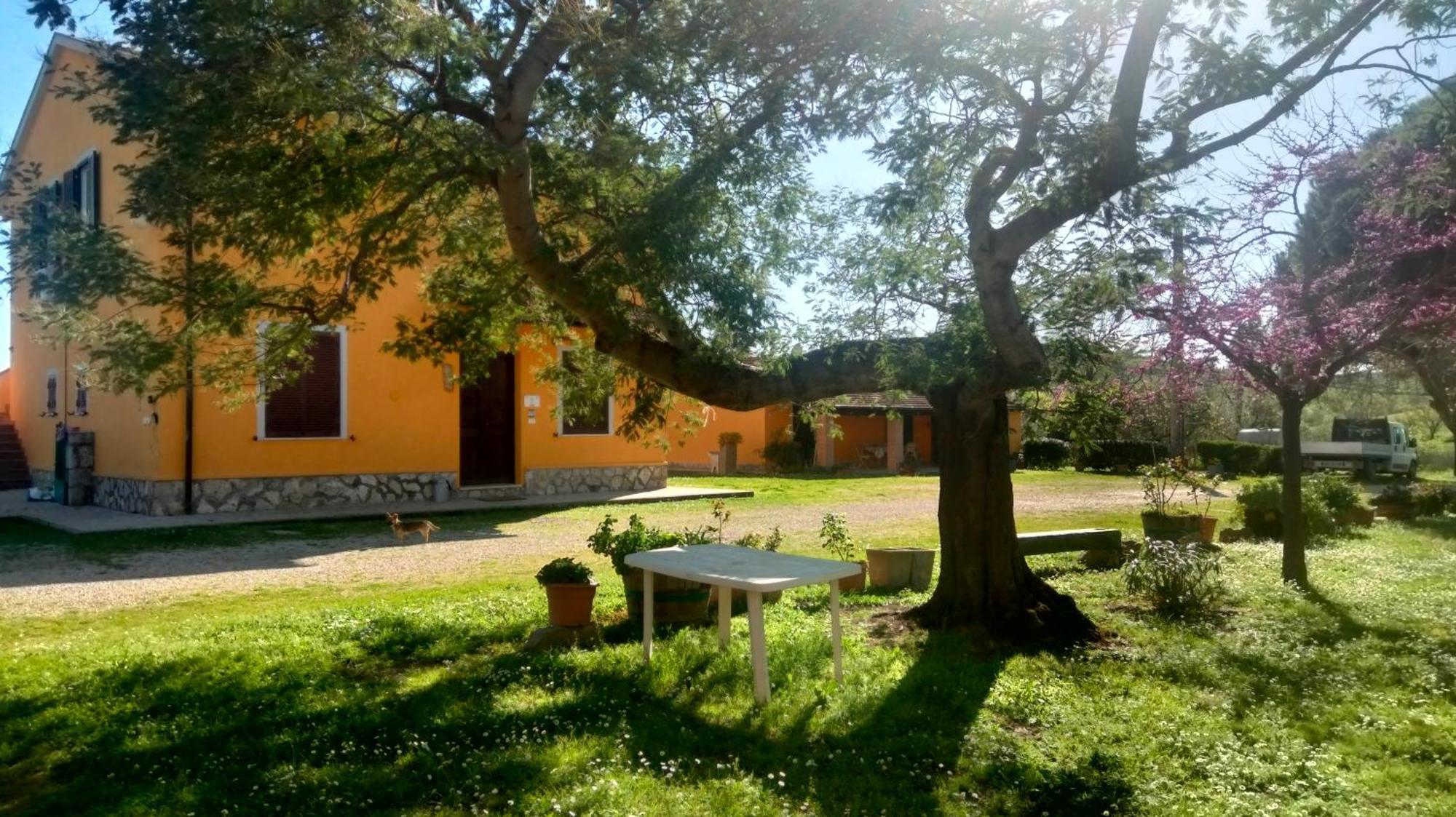 Agriturismo Da Remo Magliano in Toscana Kamer foto