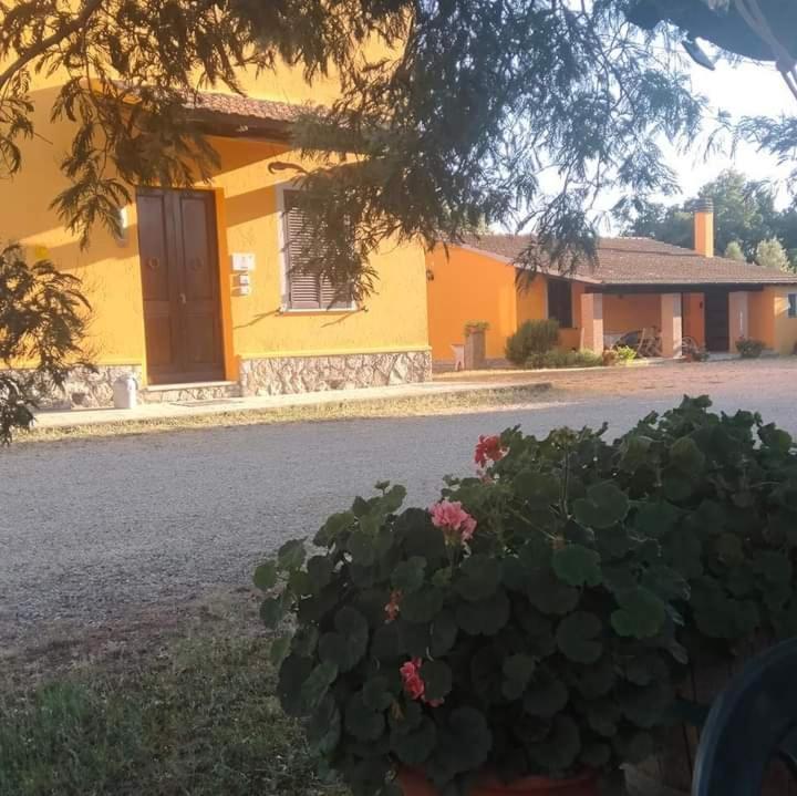 Agriturismo Da Remo Magliano in Toscana Buitenkant foto