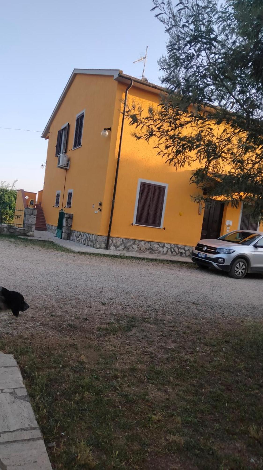 Agriturismo Da Remo Magliano in Toscana Buitenkant foto