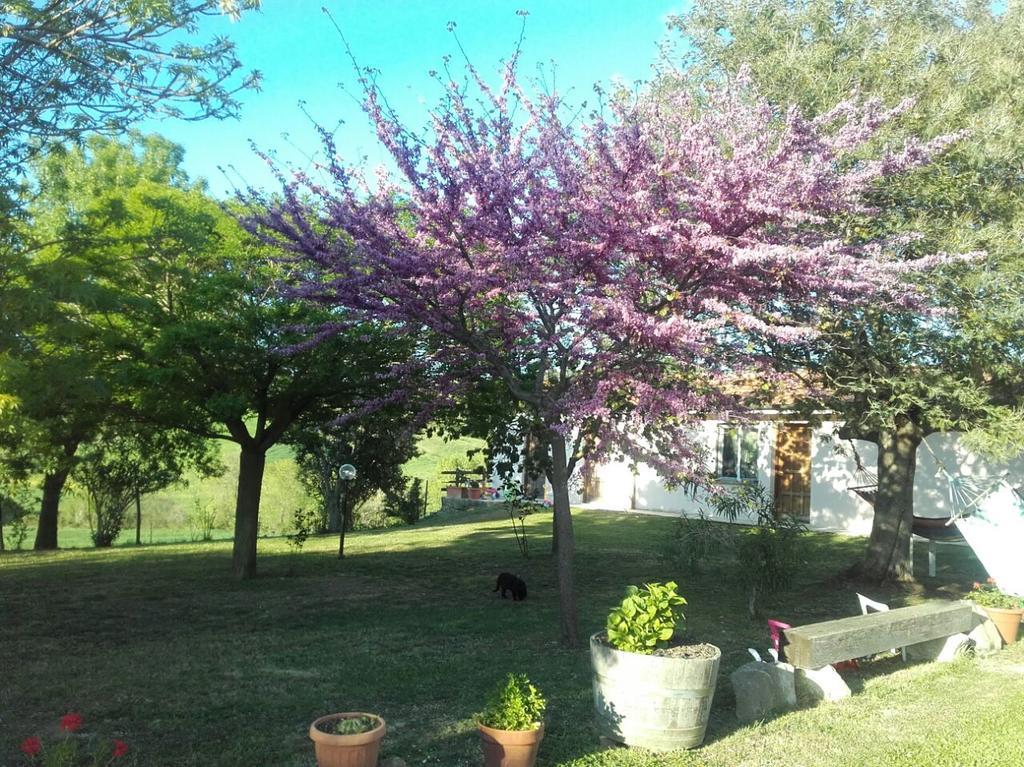 Agriturismo Da Remo Magliano in Toscana Buitenkant foto