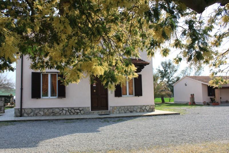 Agriturismo Da Remo Magliano in Toscana Buitenkant foto