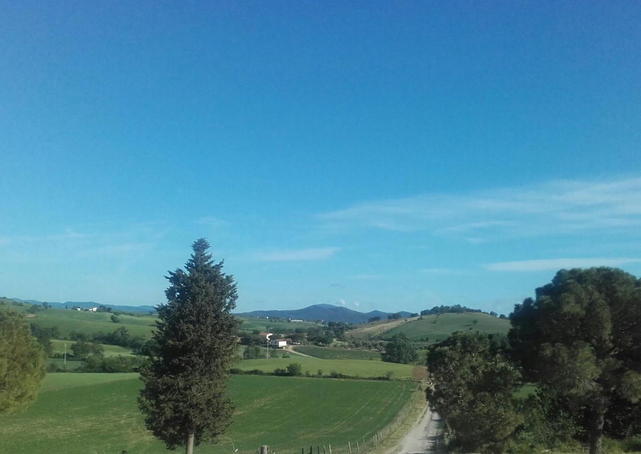 Agriturismo Da Remo Magliano in Toscana Buitenkant foto
