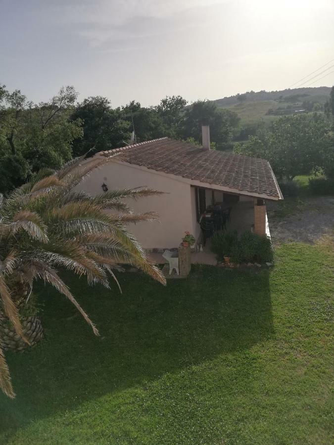 Agriturismo Da Remo Magliano in Toscana Buitenkant foto